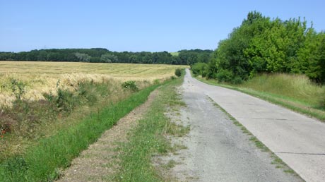 B&ouml;rdelandschaft vor Ampfurth