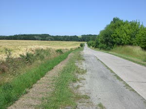 Bördelandschaft vor Ampfurth Bördelandschaft vor Ampfurth
