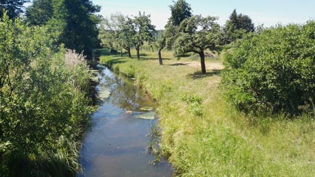 Dahme-Radweg Dahme-Radweg