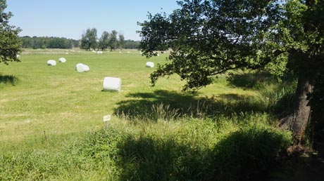 Dahme-Radweg Dahme-Radweg