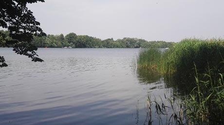 Dahme Dahme
