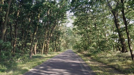 Dahme-Radweg Dahme-Radweg