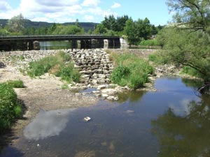 junge Donau junge Donau