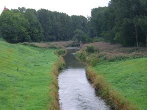 Fluss Krems Fluss Krems
