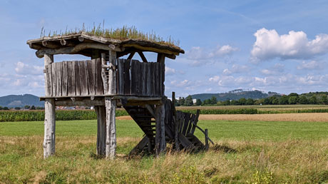 Beobachtungsstand Rennertehausen Beobachtungsstand Rennertehausen