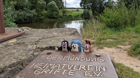 Edermündung