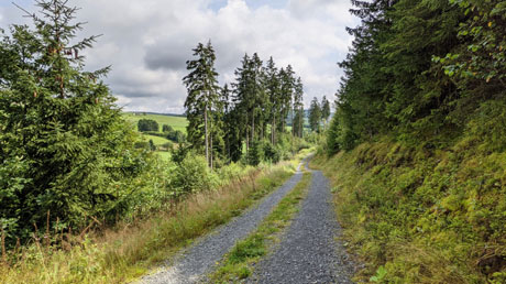 Ederradweg Ederradweg