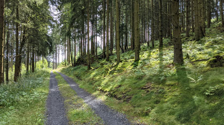 Ederradweg Ederradweg