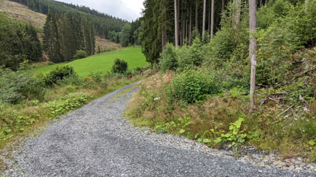 Ederradweg Ederradweg