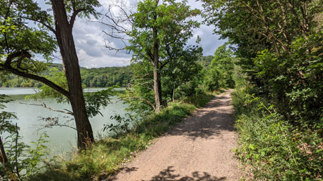 Ederradweg am Edersee Ederradweg am Edersee
