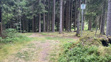 Eger-Radweg im Wald