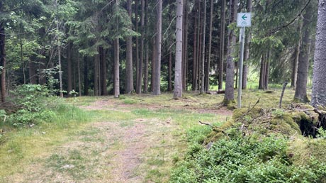 Eger-Radweg im Wald Eger-Radweg im Wald