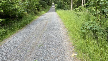 Eger-Radweg Waldabschnitt