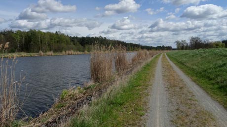 Elbe-Havel-Kanal mit Radweg