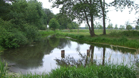 Wasserlandschaft in der Lewitz Wasserlandschaft in der Lewitz
