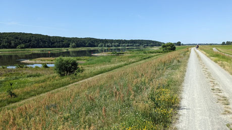 Elberadweg bei D�mitz