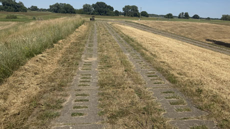 Elberadweg zwischen Wittenberge und Werben