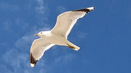 Insel Poel M�ve