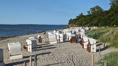 Insel Poel Strand Schwarzer Busch