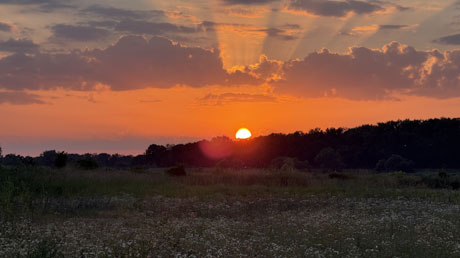 Elberadweg Sonnenuntergang in Werben