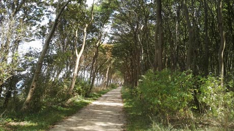 Insel Poel Küstenweg