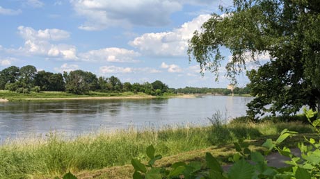 Elbe bei Dessau Elbe bei Dessau