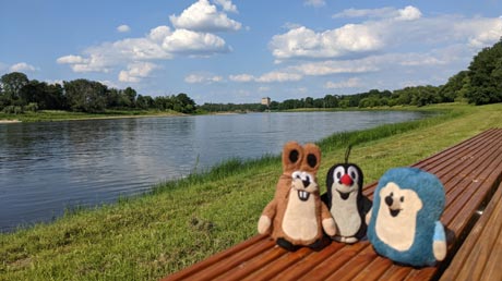 Elbe bei Dessau Elbe bei Dessau
