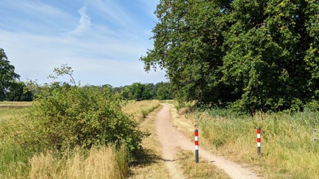 Elberadweg Elberadweg