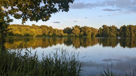 Abendstimmung am Thielenburger See