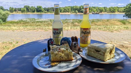 Rast bei Anne~Elbe
