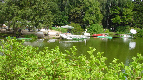 Schwanenteich Bad Elster