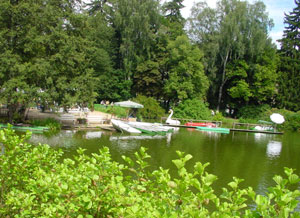Schwanenteich Bad Elster