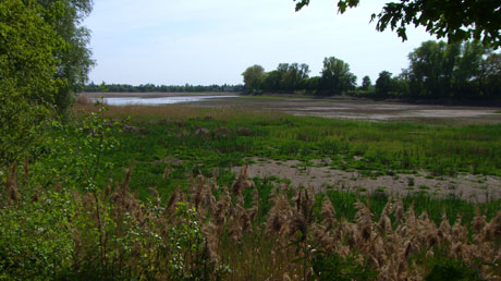 Elsterstausee Elsterstausee