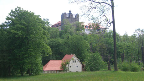Blick zum Schloss Ballenstedt