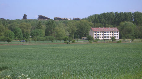 Blick zur Teufelsmauer Weddersleben