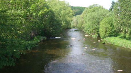 Blick auf die Bode in Thale