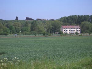 Blick zur Teufelsmauer Weddersleben