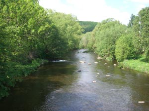Blick auf die Bode in Thale