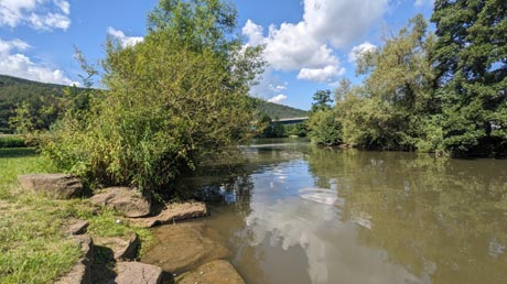 Saalemndung in Gemnden am Main