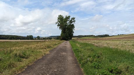 Saaleradweg nahe der Quelle