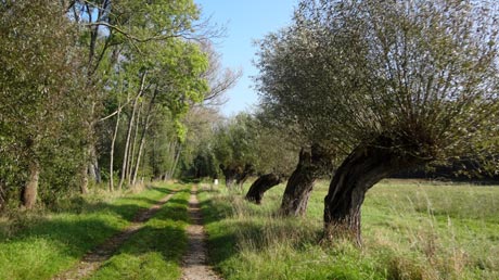 Fuhneradweg nahe Quelle