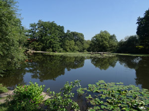 Fuldaufer Fuldaufer