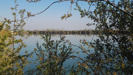 Camping Erfurt am See