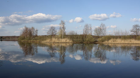 Teiche Petkampsberg