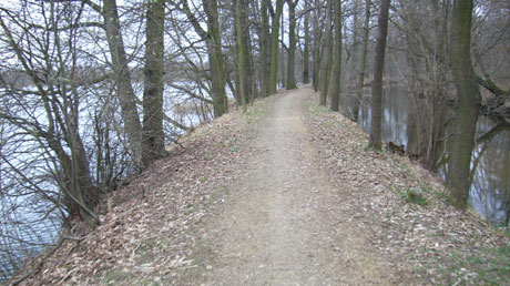 Weg zwischen den Teichen Weg zwischen den Teichen