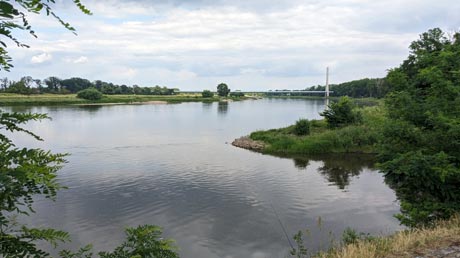 Elbe in Schönebeck