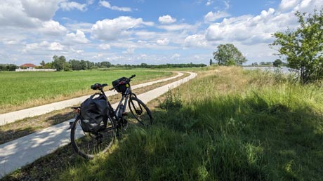 Saaleradweg und Hamster