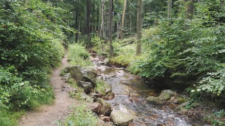 Wanderweg Ilsetal