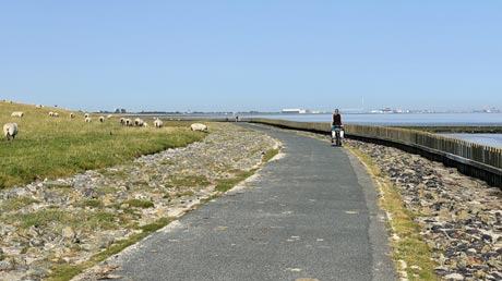 Nordseeradweg und Elberadweg Nordseeradweg und Elberadweg
