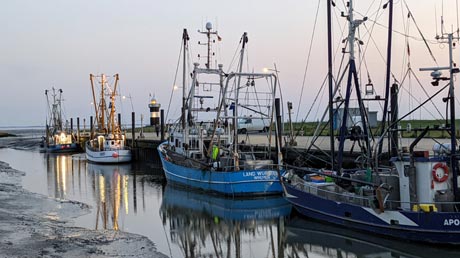 Hafen Wremen bei Ebbe Hafen Wremen bei Ebbe